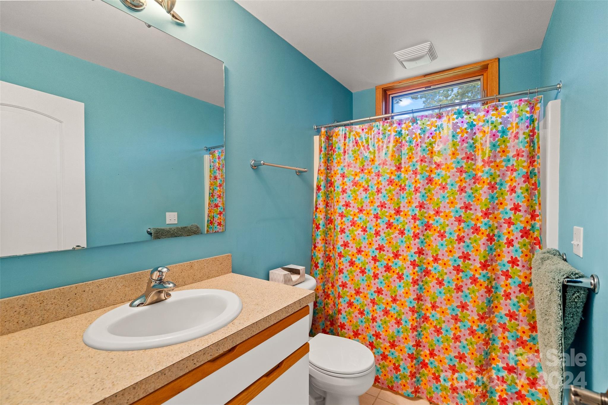 180 Britten Cove Road Weaverville NC 28787