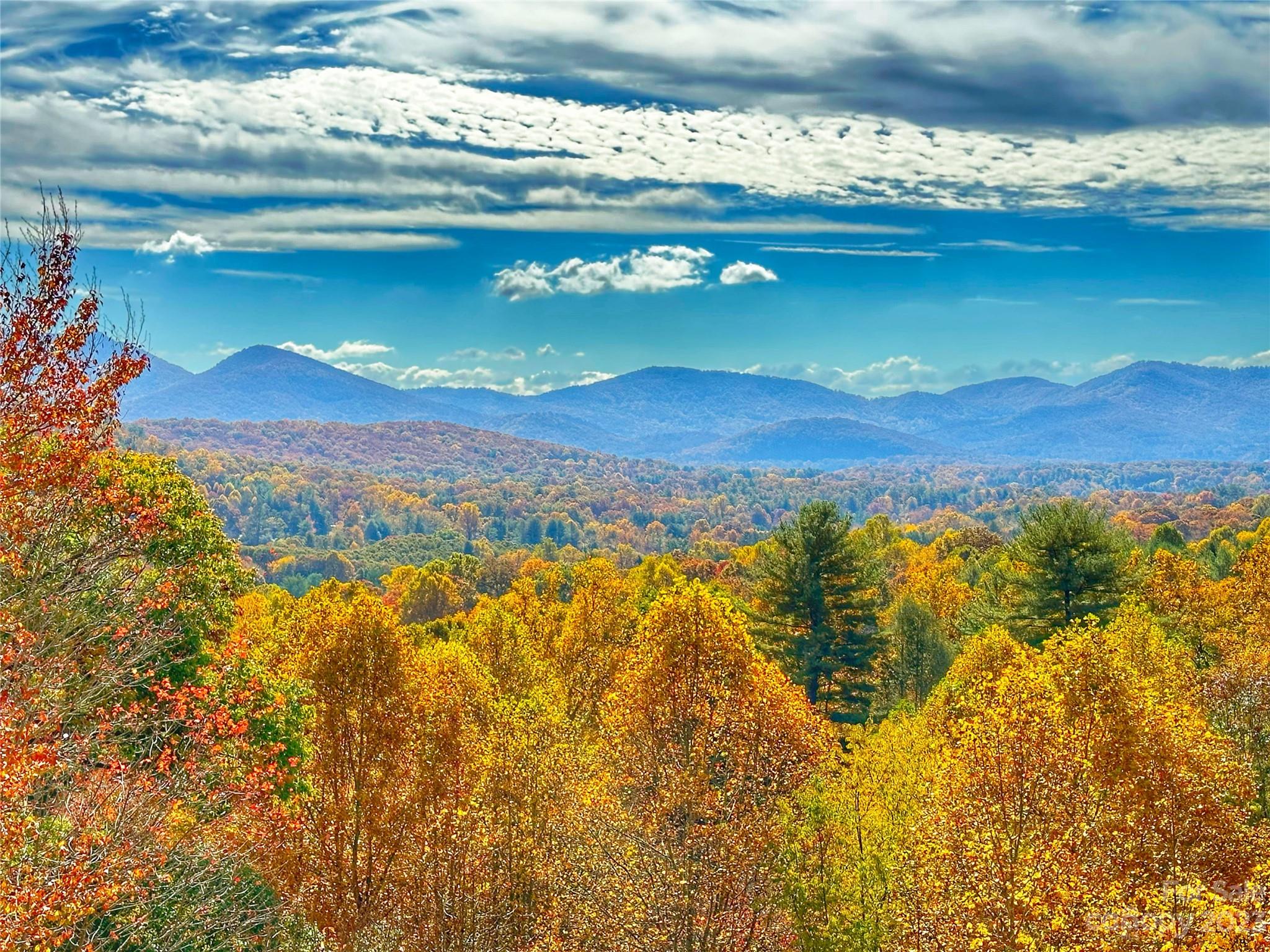 13 Silverstone Drive Asheville NC 28805