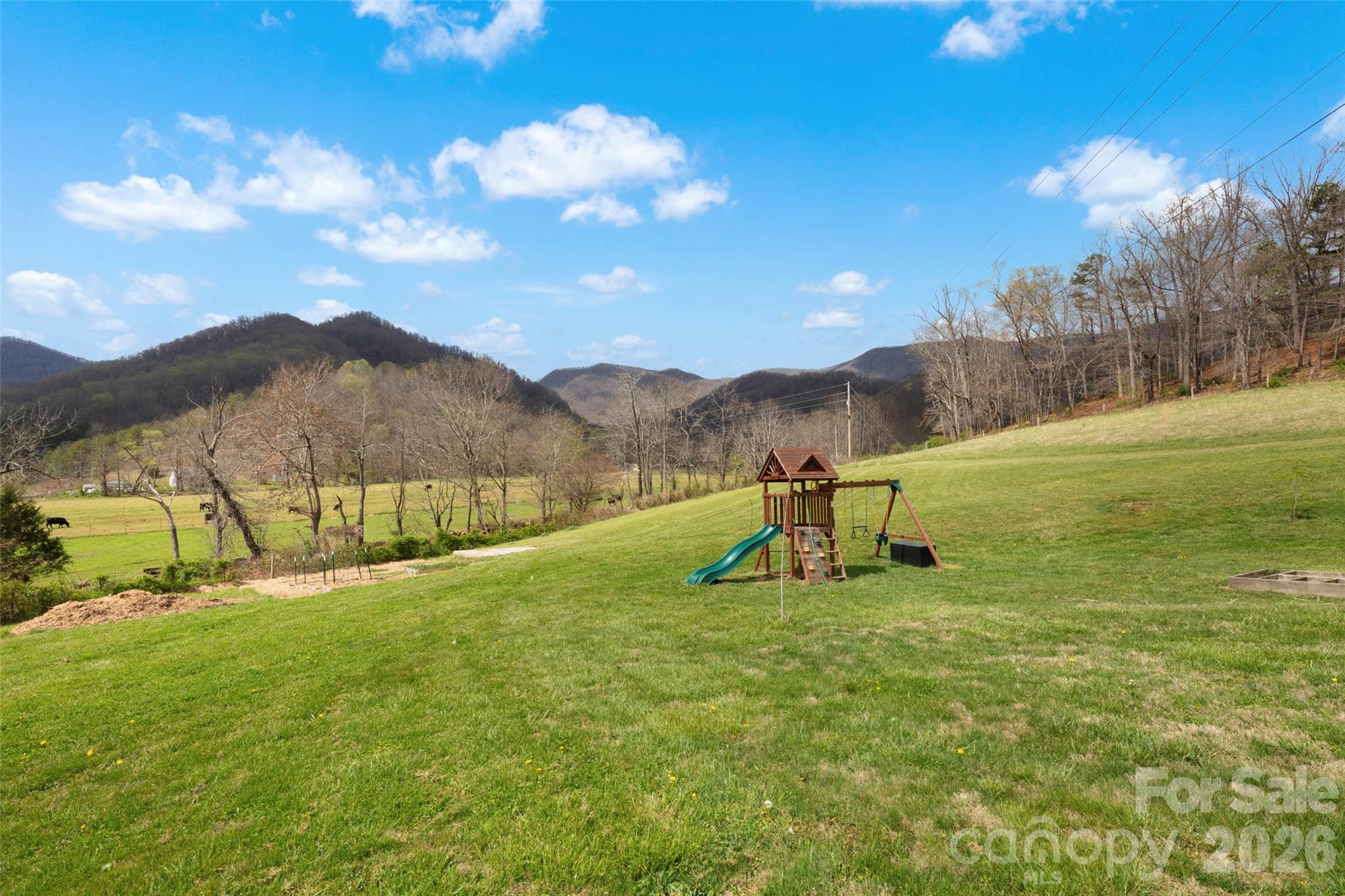 17 Boyd Cove Road Leicester NC 28748