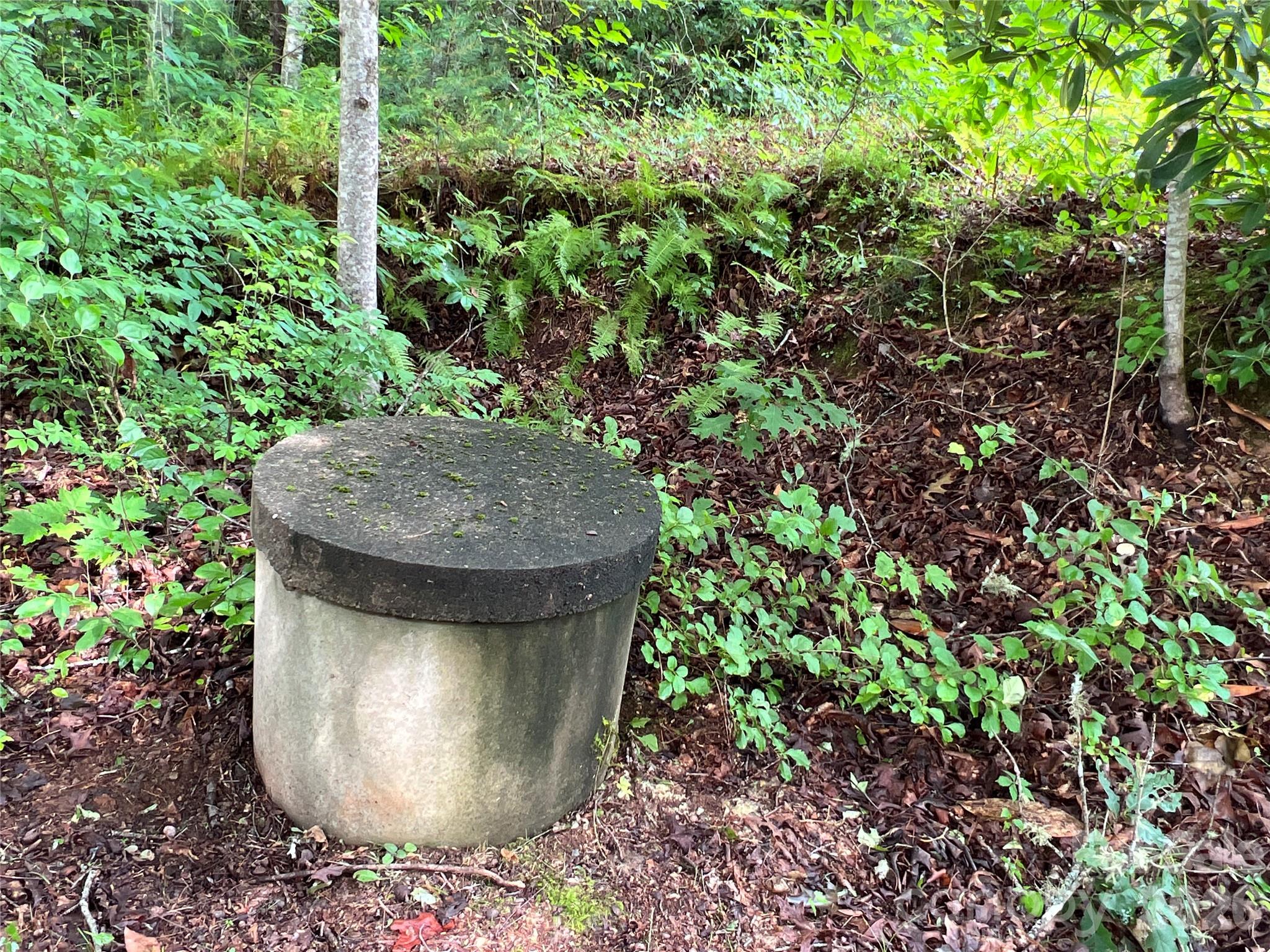 1019 Hudlin Gap Road Pisgah Forest NC 28768