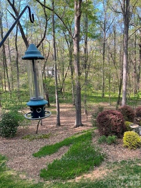 1712 Saddlewood Drive Fort Mill SC 29715