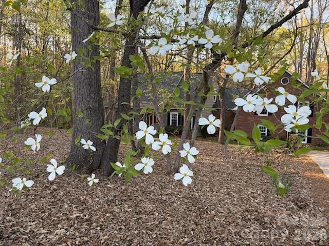 1712 Saddlewood Drive Fort Mill SC 29715