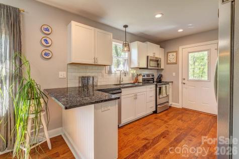 20 Plemmons Street Asheville NC 28806