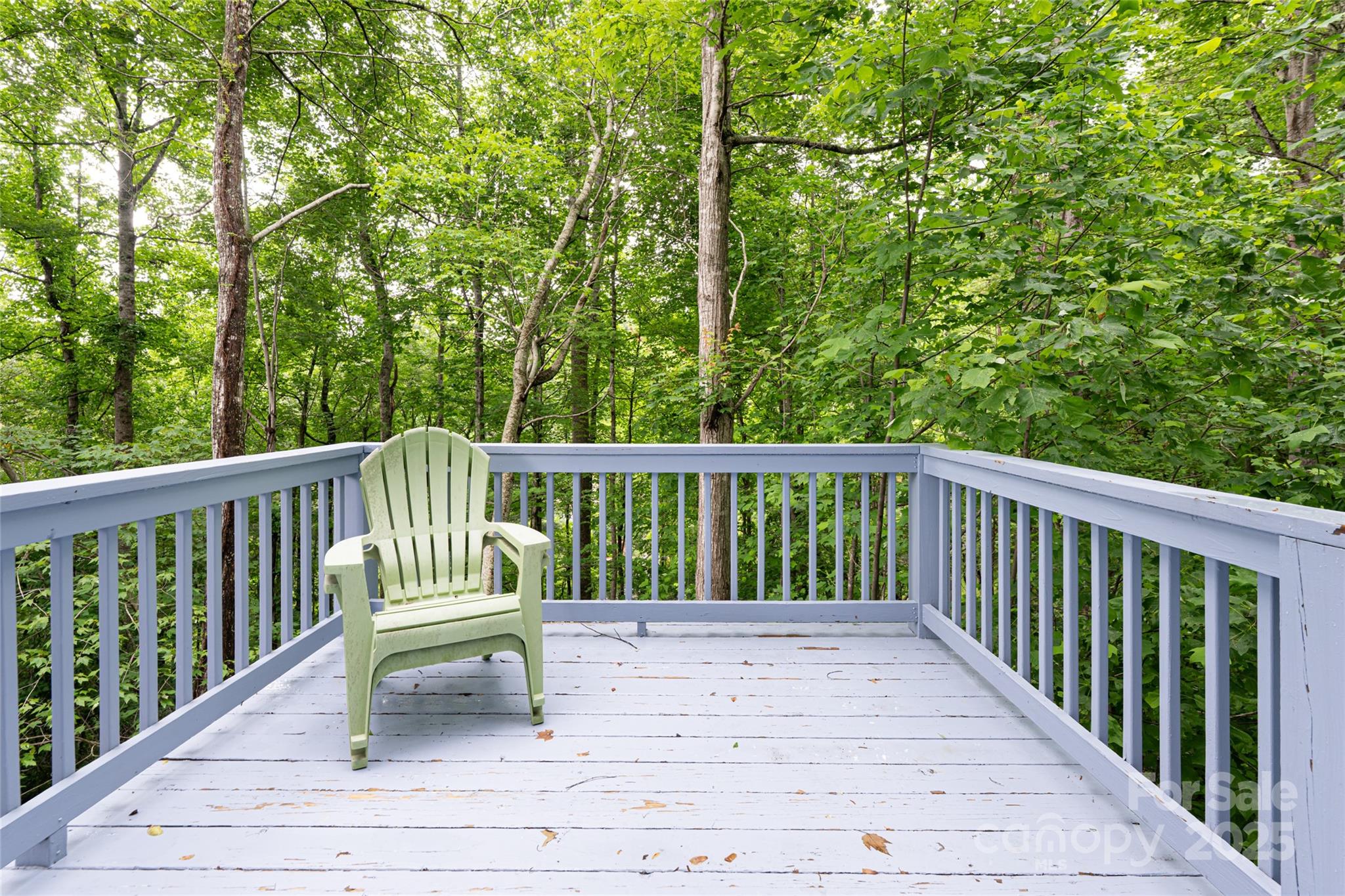 70 Crabapple Lane Asheville NC 28804