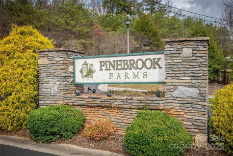 22 Craftsman View Drive Asheville NC 28804