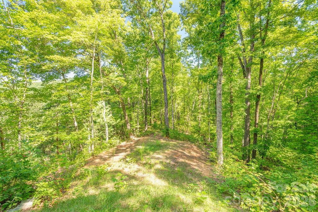 145 Mountain Forest Drive Union Mills NC 28167