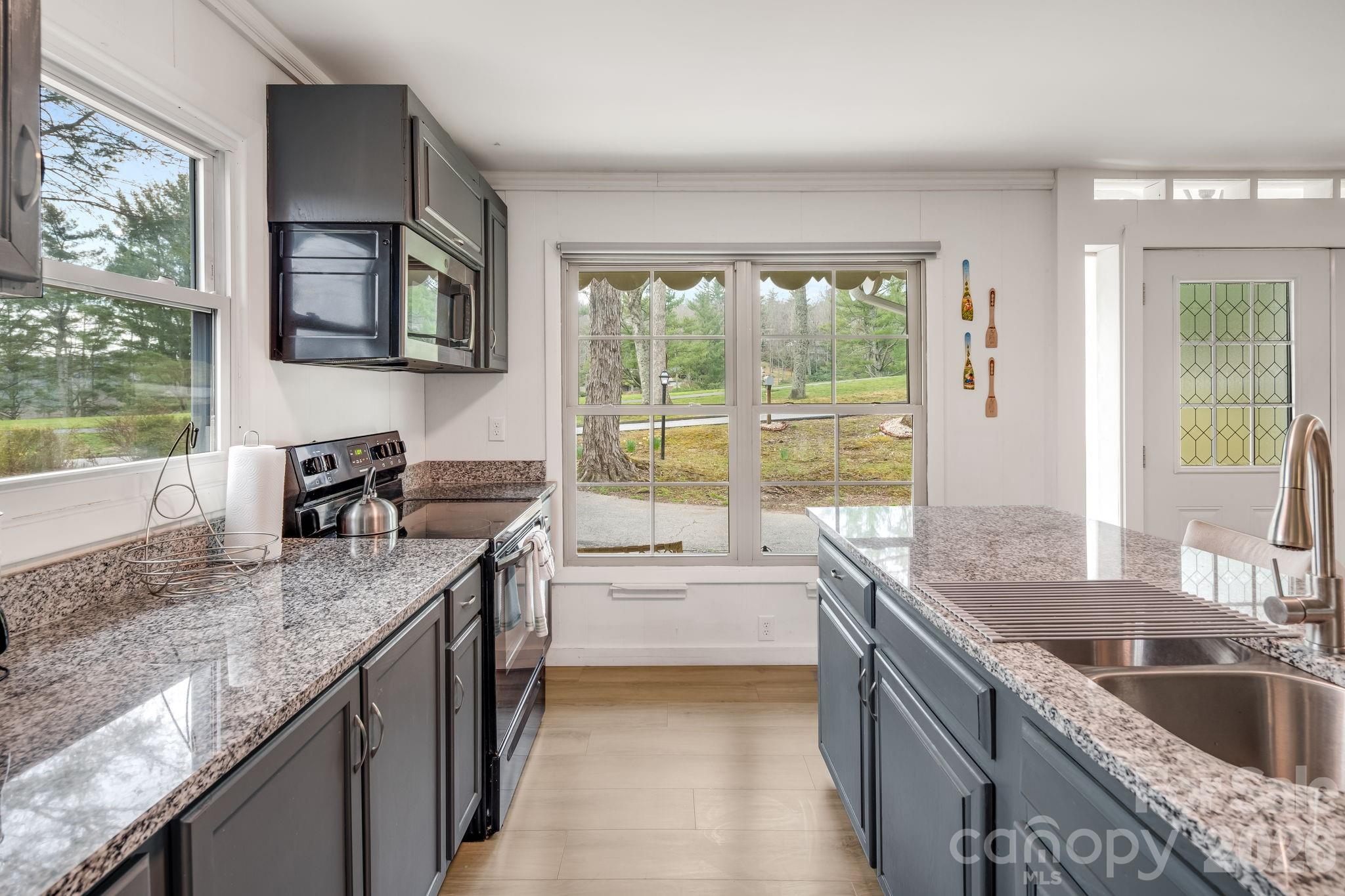 2203 Swiss Pine Lake Drive Spruce Pine NC 28777
