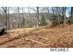 176 Ed Mccall Ridge Pisgah Forest NC 28768