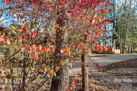 410 S Cherokee Avenue Black Mountain NC 28711