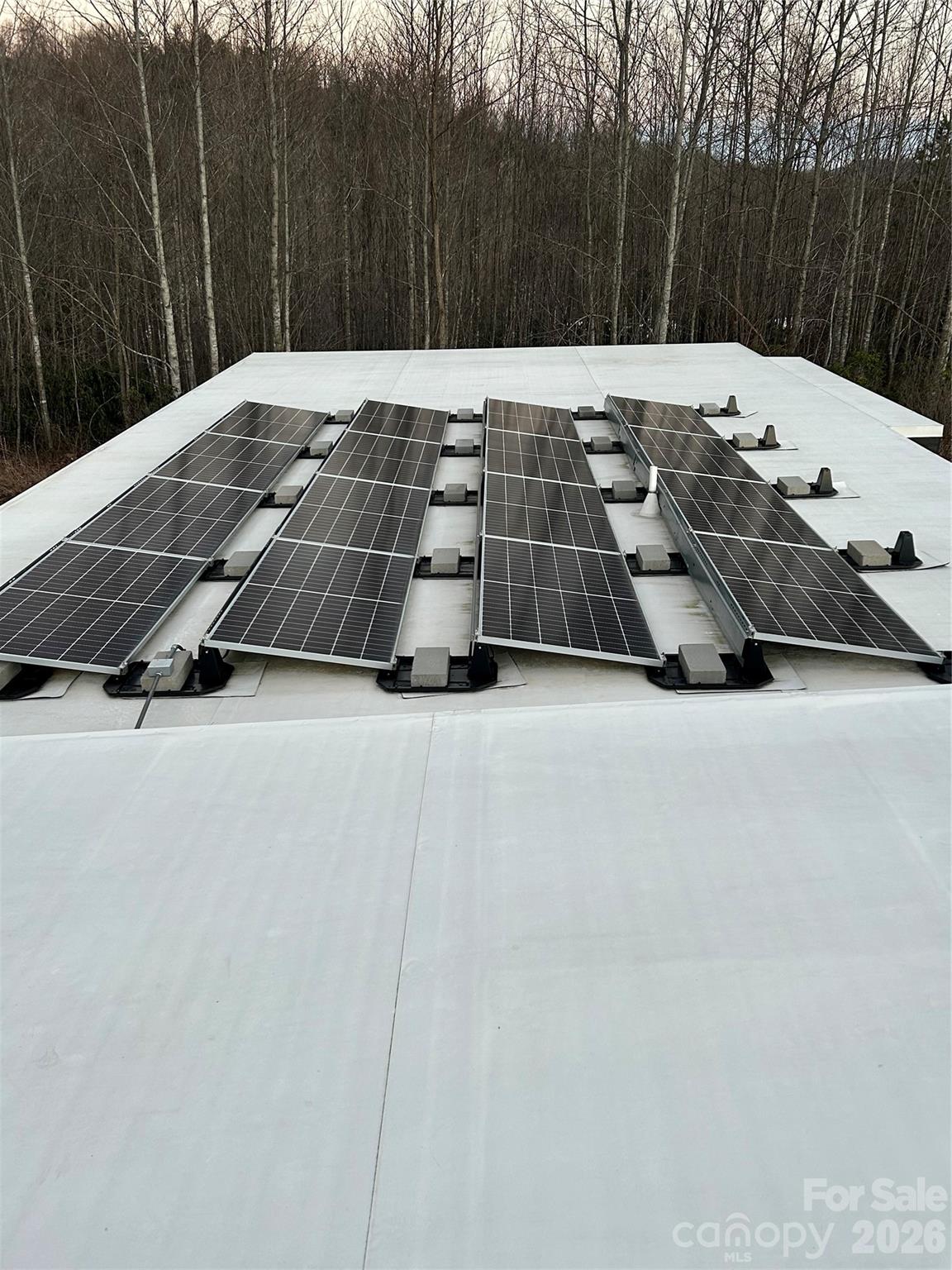 17 Fig Tree Lane Asheville NC 28803