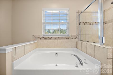 9548 Birkwood Court Charlotte NC 28278