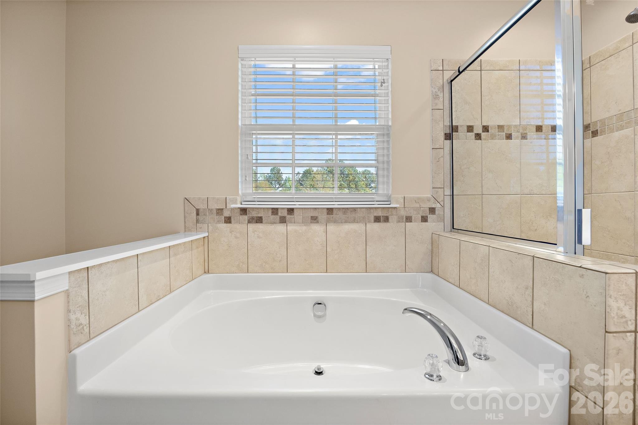 9548 Birkwood Court Charlotte NC 28278