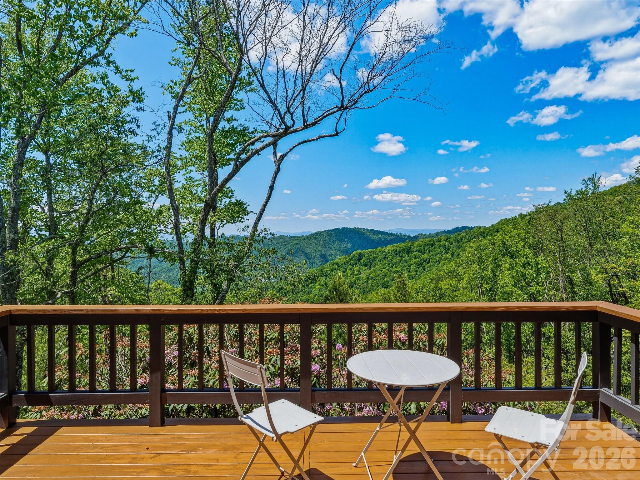 100 Big Spring Drive Asheville NC 28804