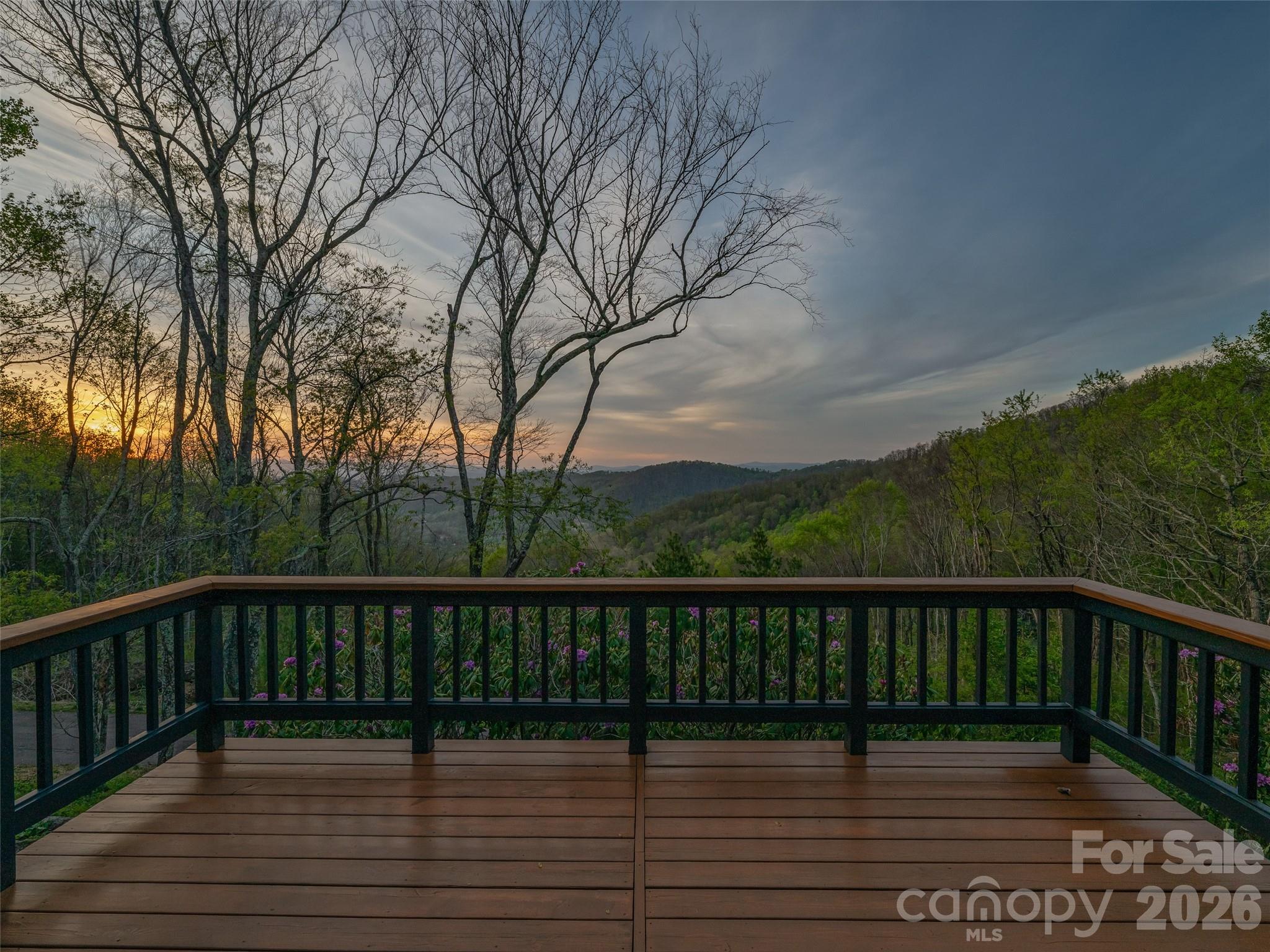 100 Big Spring Drive Asheville NC 28804