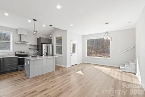 24 Lower Grassy Branch Road Asheville NC 28805