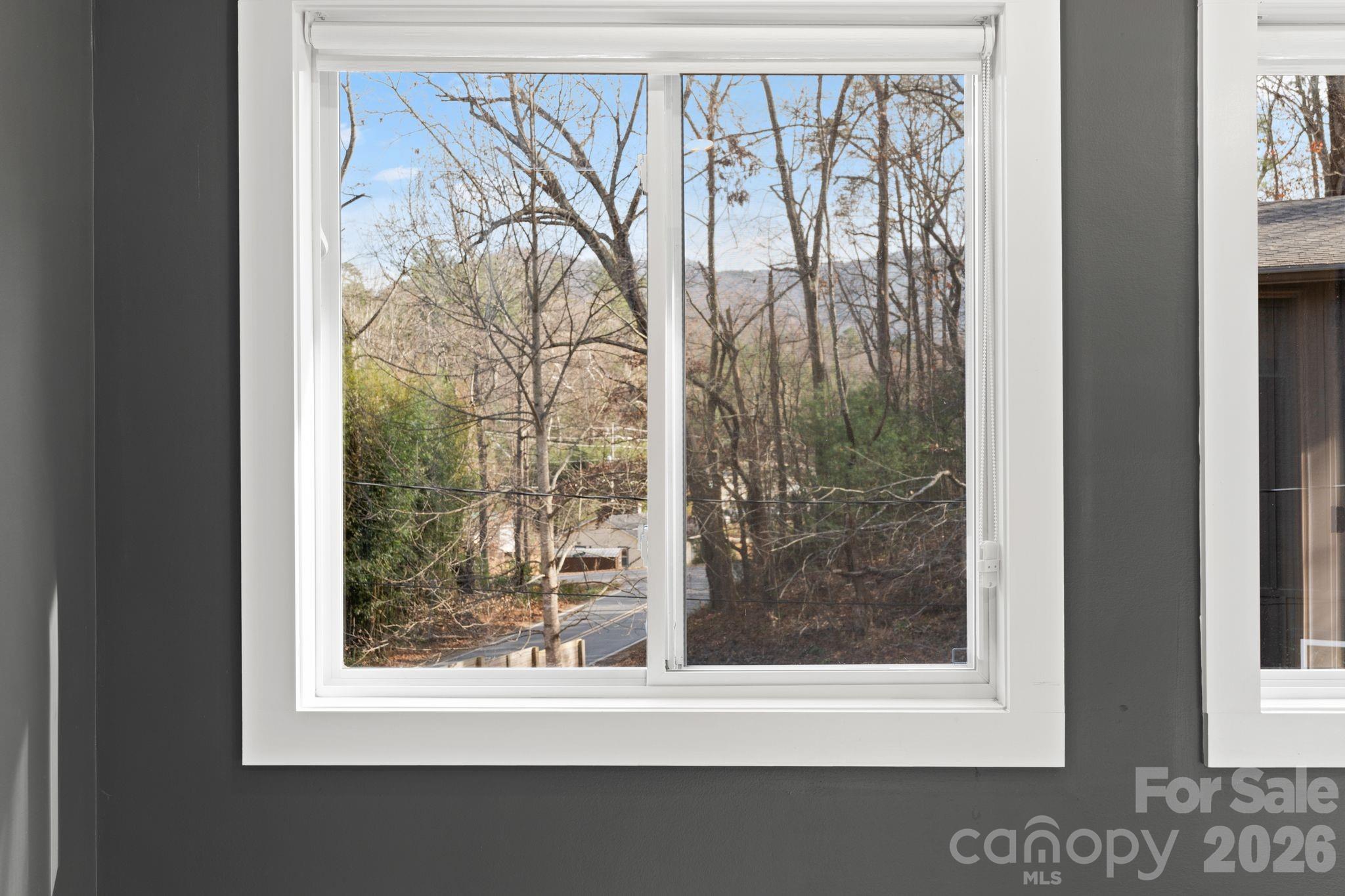 24 Lower Grassy Branch Road Asheville NC 28805