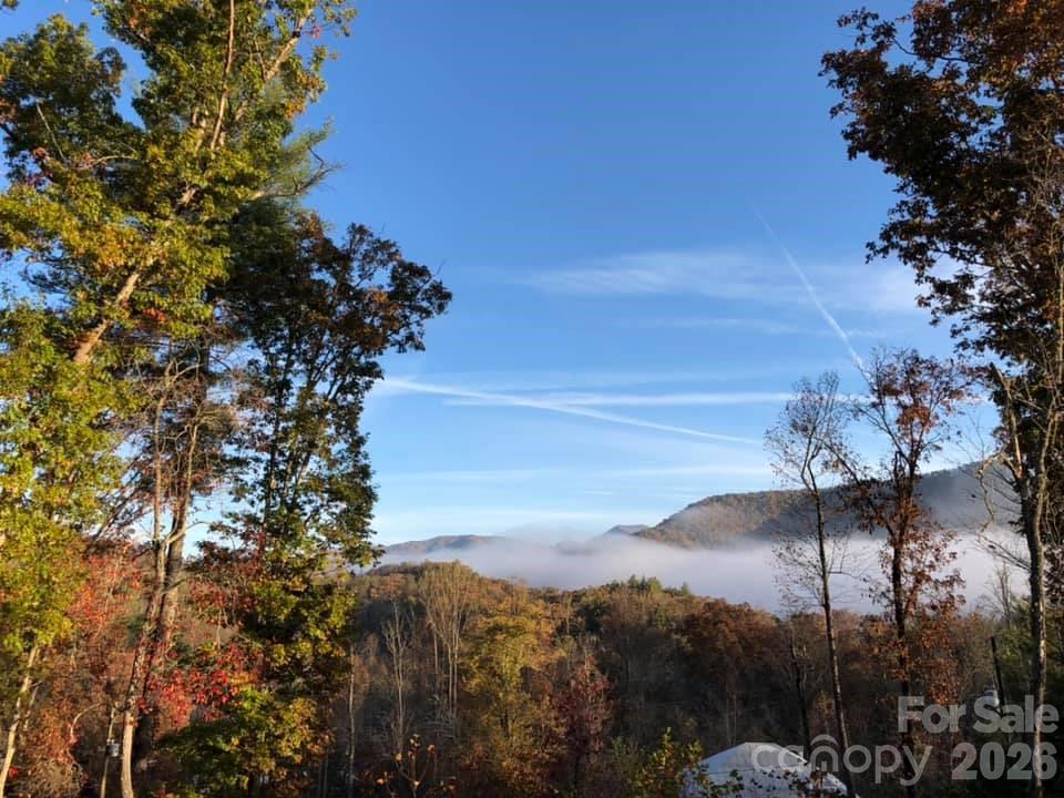 266 Egret Lane Sylva NC 28779