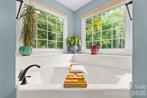 1305 Mill Race Lane Matthews NC 28104