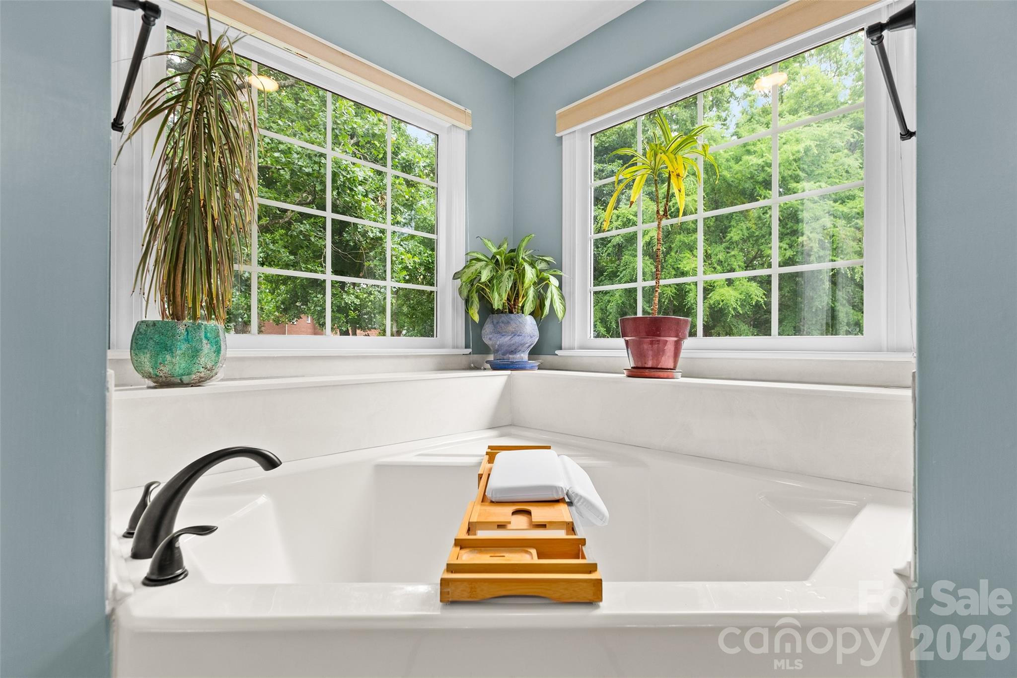 1305 Mill Race Lane Matthews NC 28104