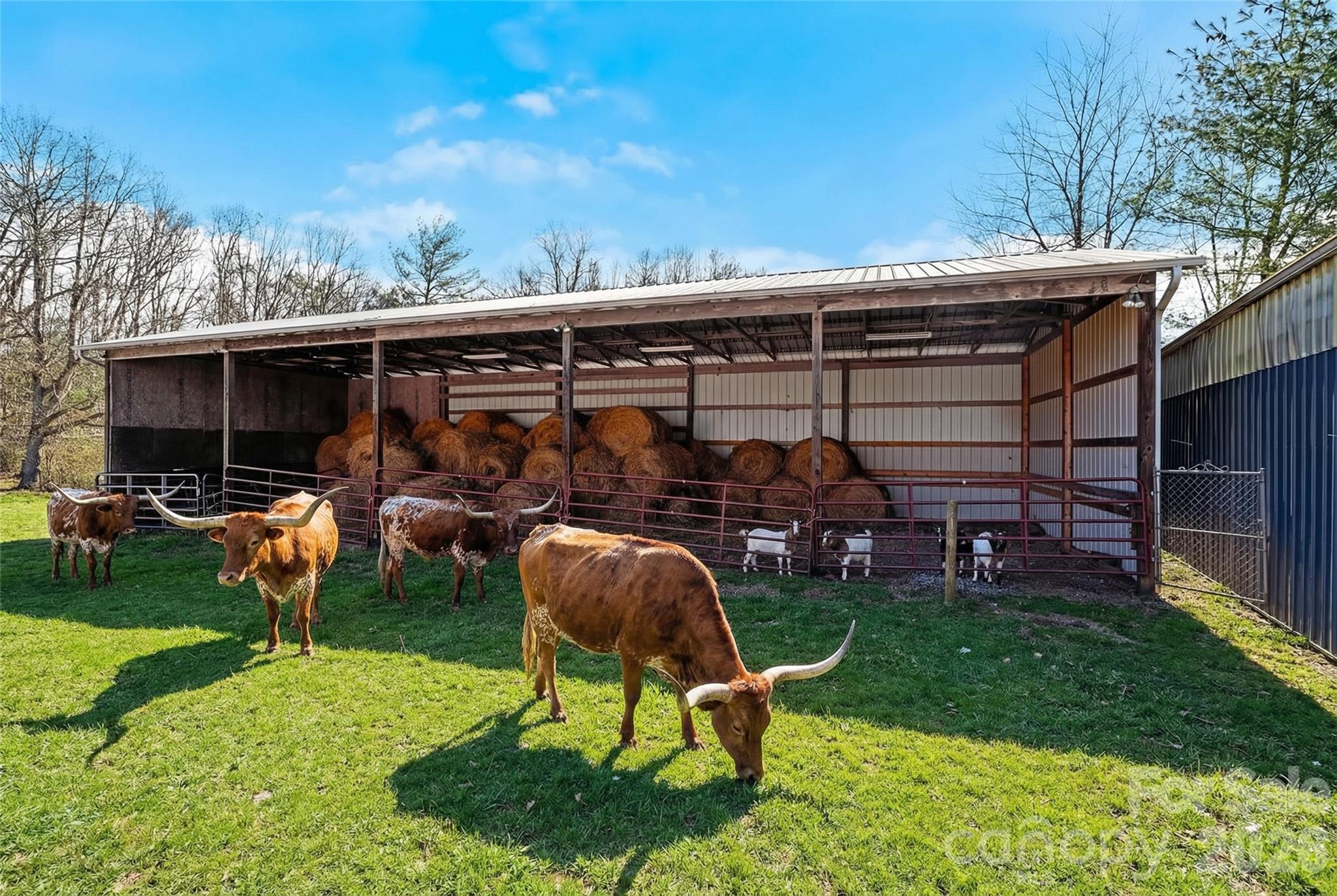 735 Macedonia Road Asheville NC 28804