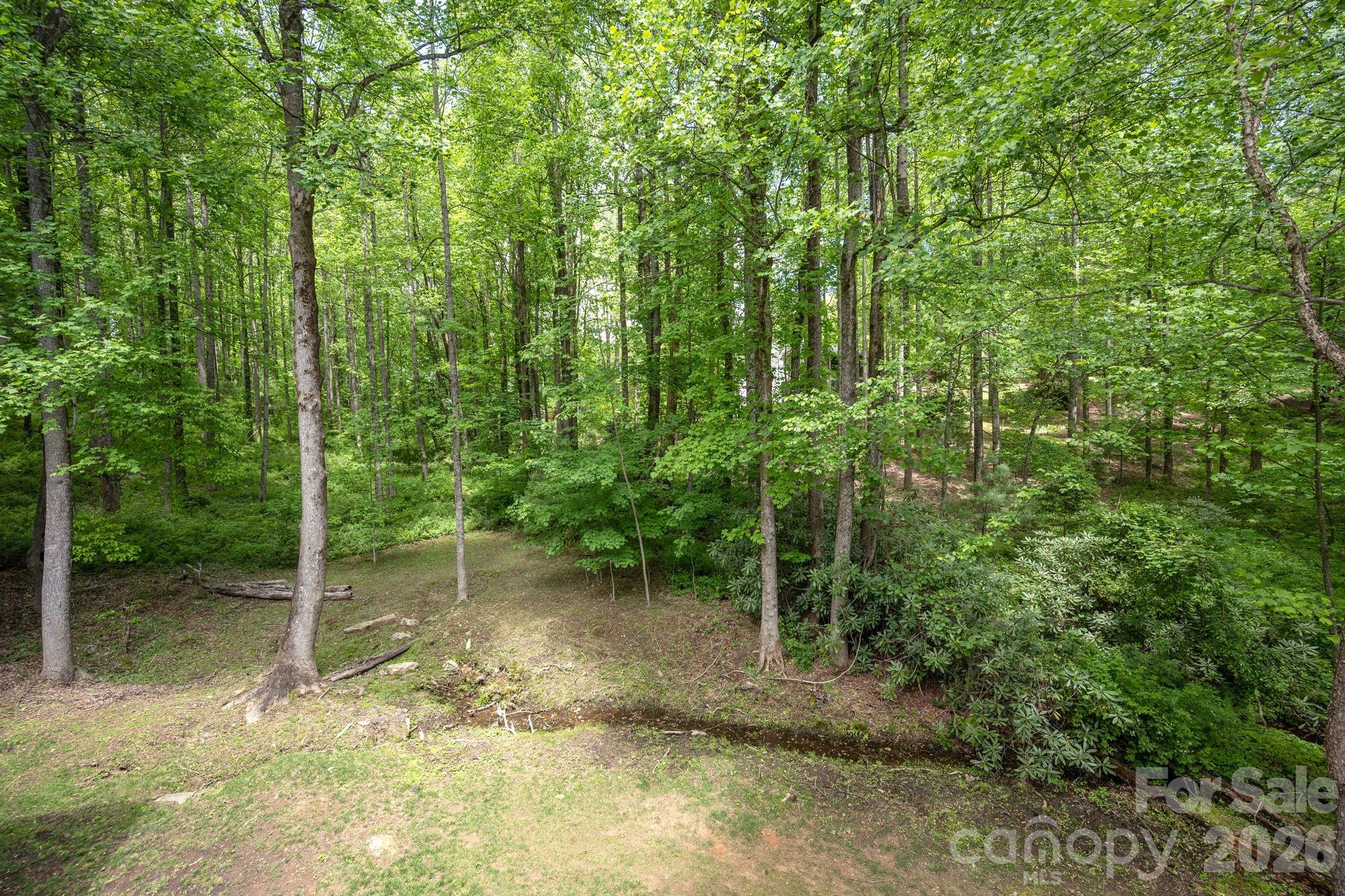 113 Chancery Court Flat Rock NC 28731