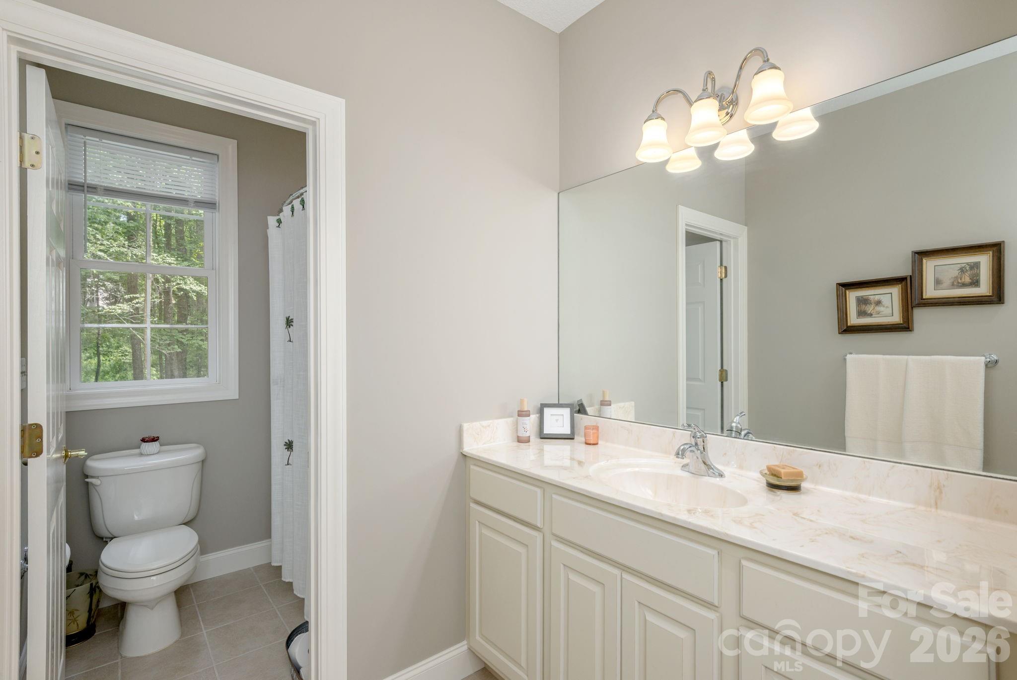 113 Chancery Court Flat Rock NC 28731