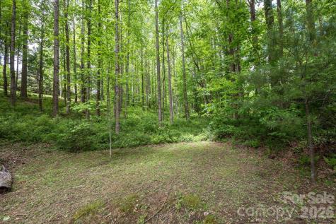 113 Chancery Court Flat Rock NC 28731