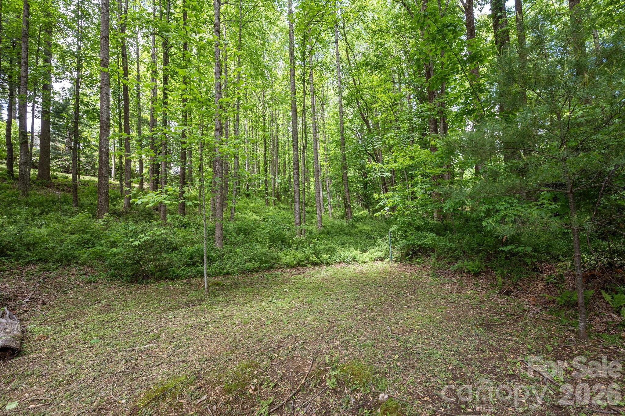 113 Chancery Court Flat Rock NC 28731