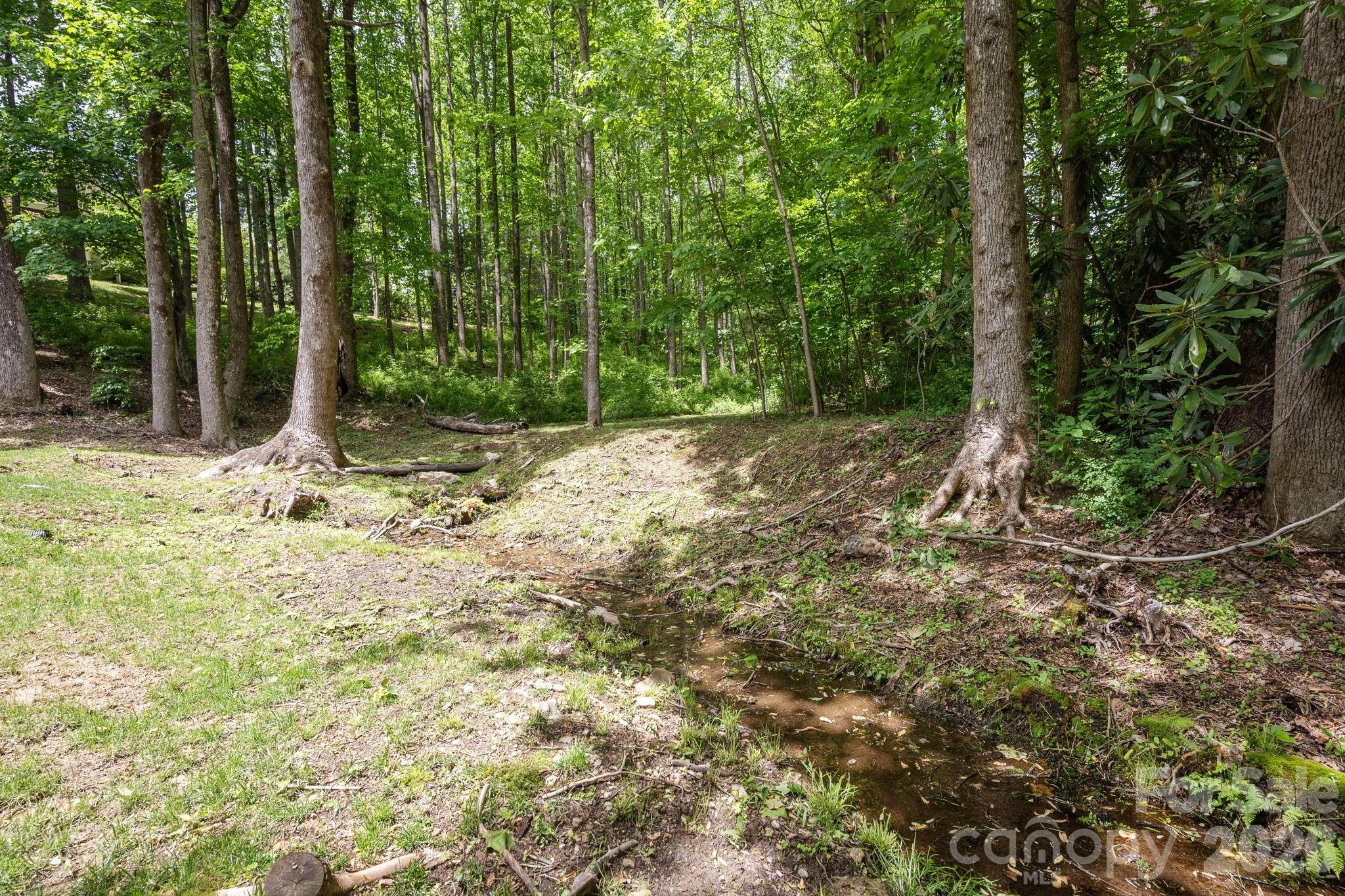 113 Chancery Court Flat Rock NC 28731