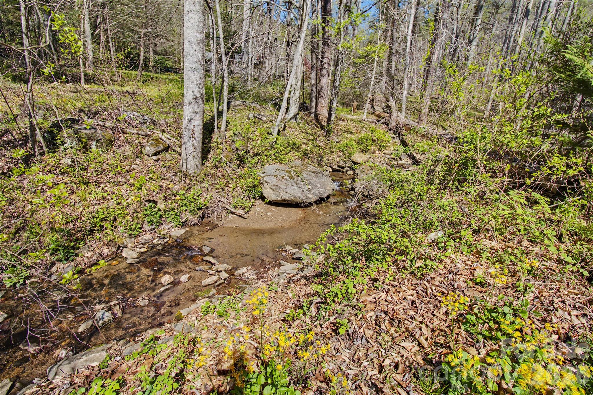 51 Hawks Landing Weaverville NC 28787