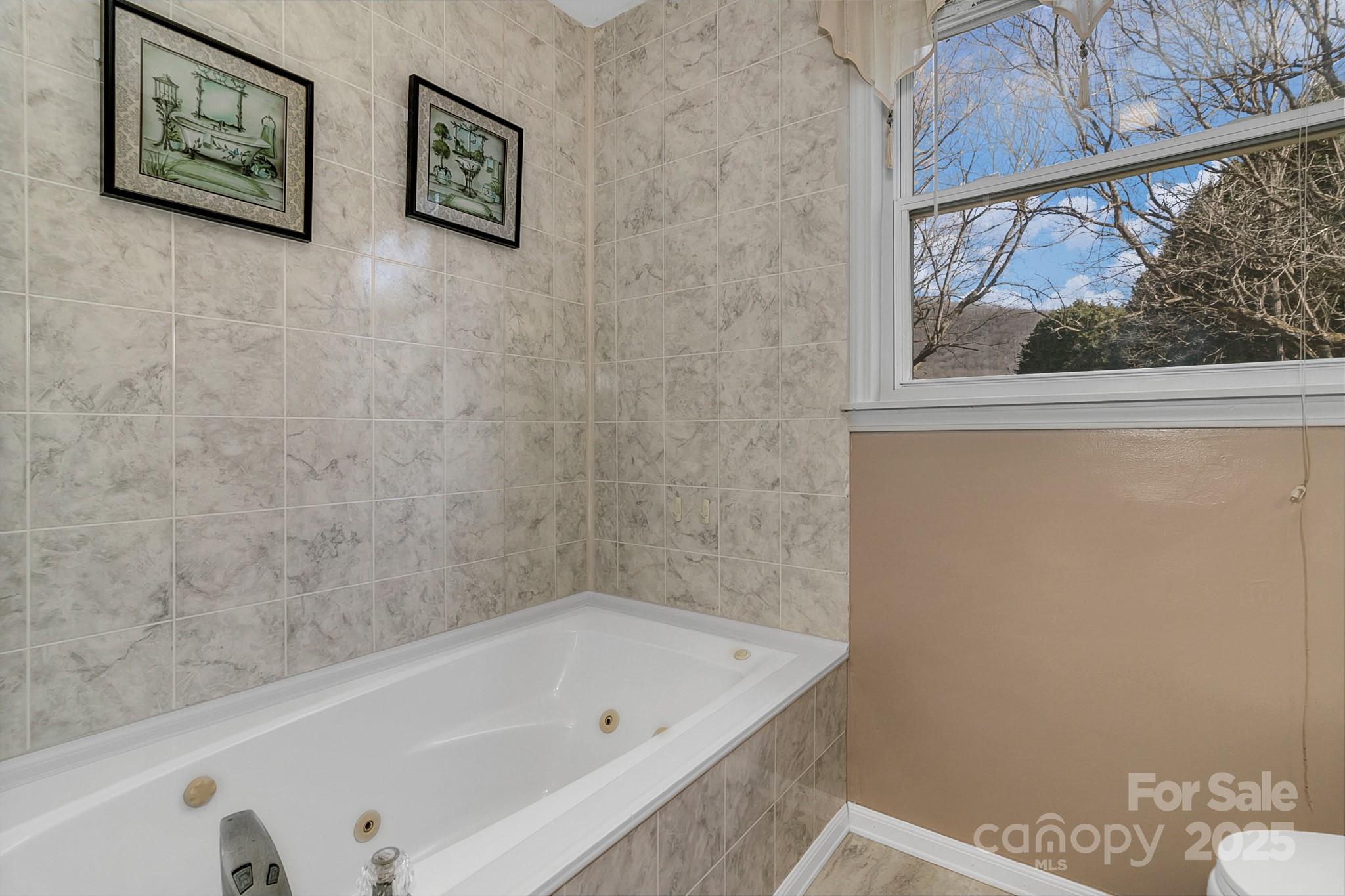 10 Lavender Lane Candler NC 28715