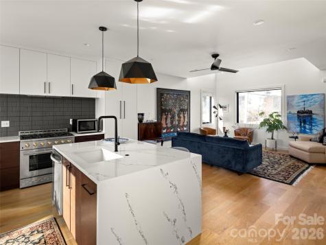 60 Harvard Place Asheville NC 28806