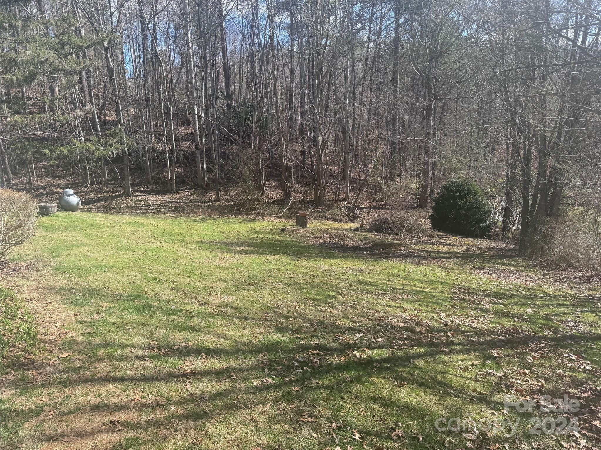 28 Sky Way Lane Burnsville NC 28714