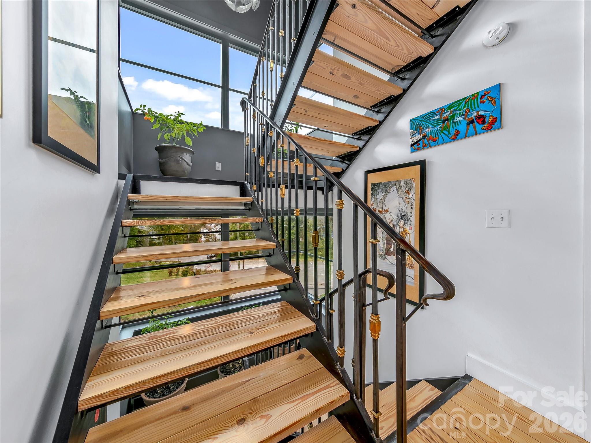 53 Buchanan Place Asheville NC 28801