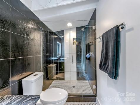 53 Buchanan Place Asheville NC 28801