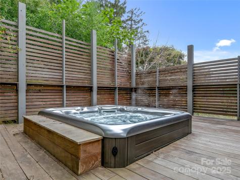 53 Buchanan Place Asheville NC 28801