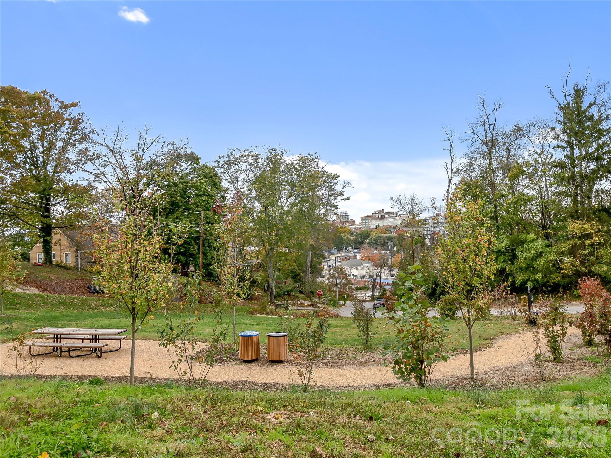 53 Buchanan Place Asheville NC 28801