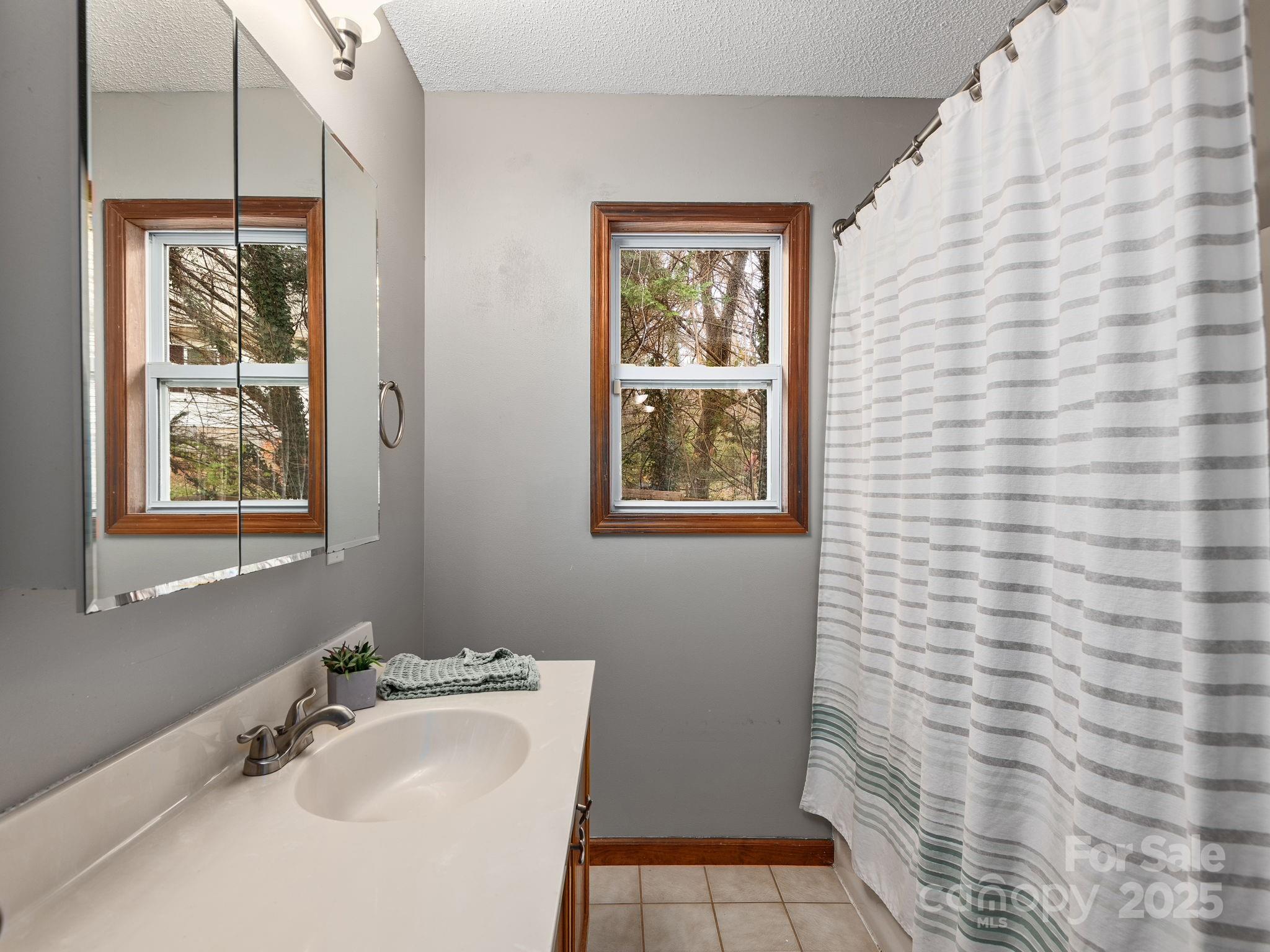 7 Wilson Creek Drive Asheville NC 28803