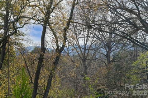 10 Lance Lane Asheville NC 28806