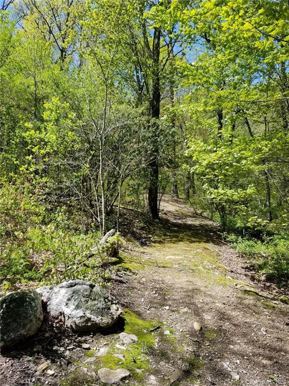 25 Craftsman Overlook Ridge Arden NC 28704