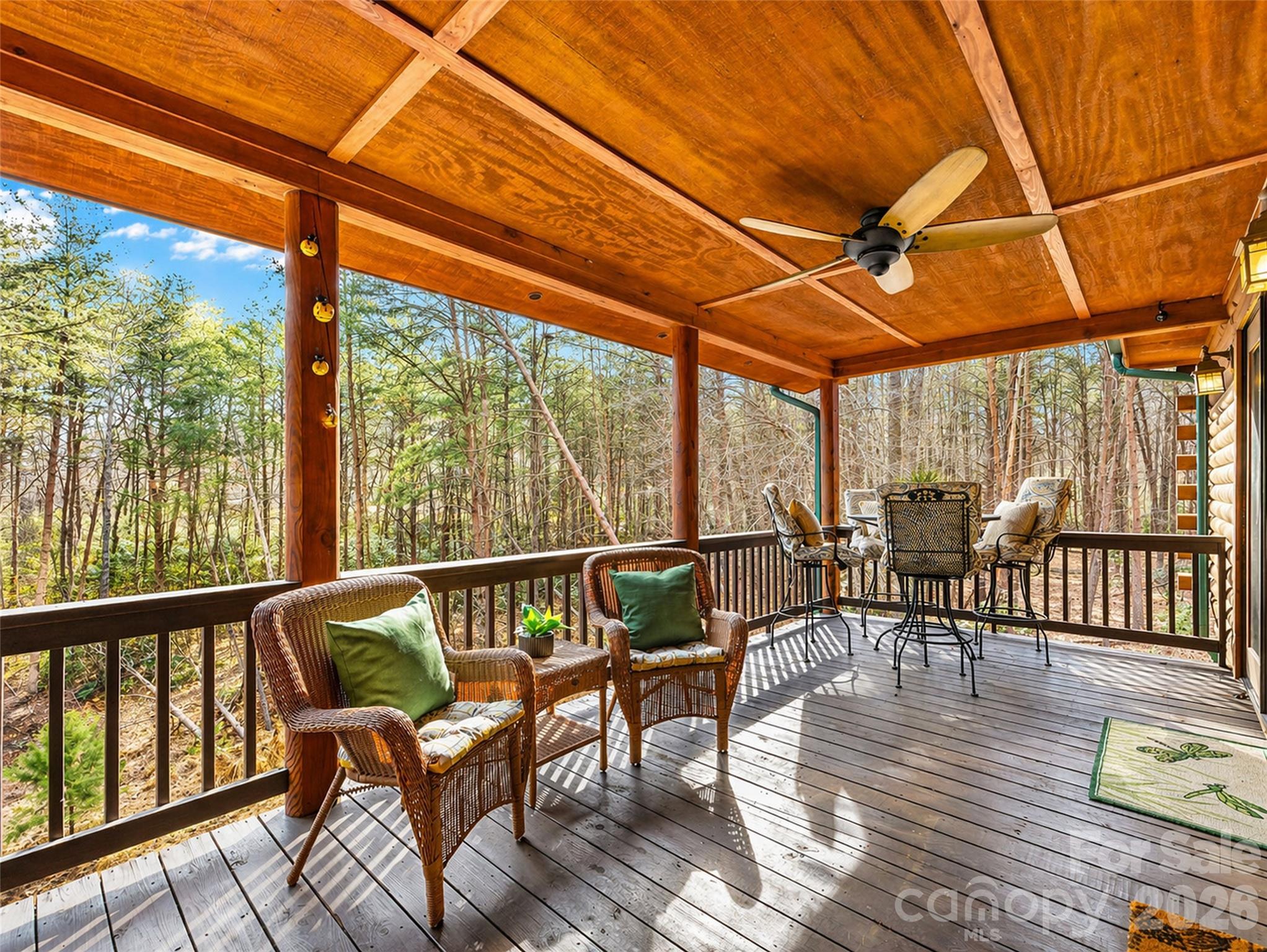 134 Mcdaniel Court Lake Lure NC 28746