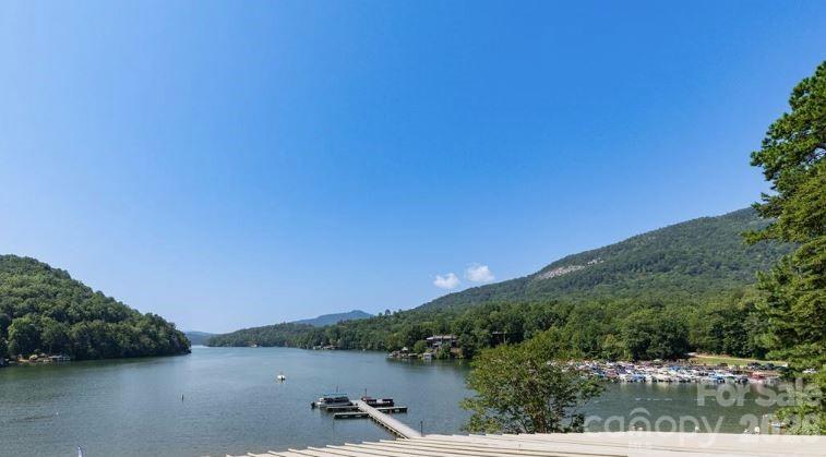134 Mcdaniel Court Lake Lure NC 28746