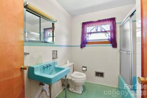 41 Hartshorn Drive Candler NC 28715