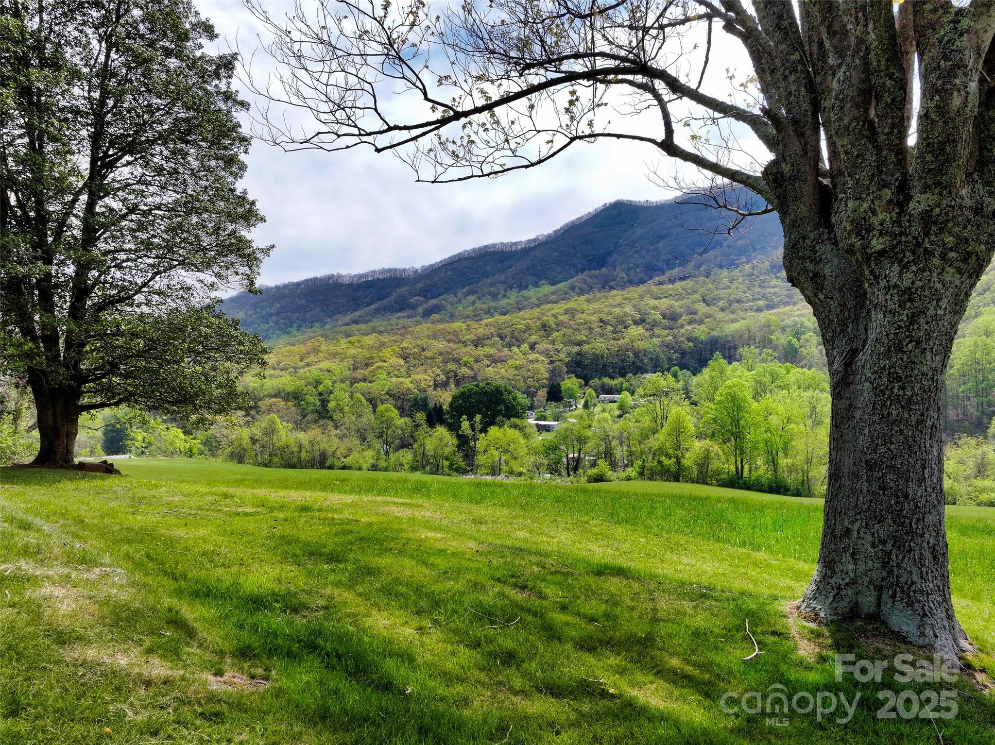 1567 Newfound Road Leicester NC 28748