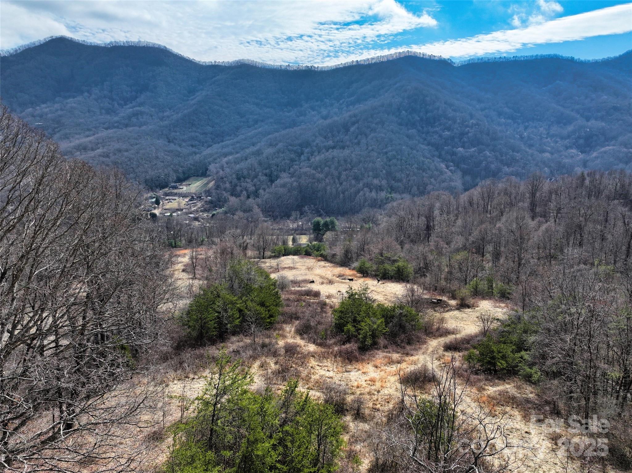 1567 Newfound Road Leicester NC 28748