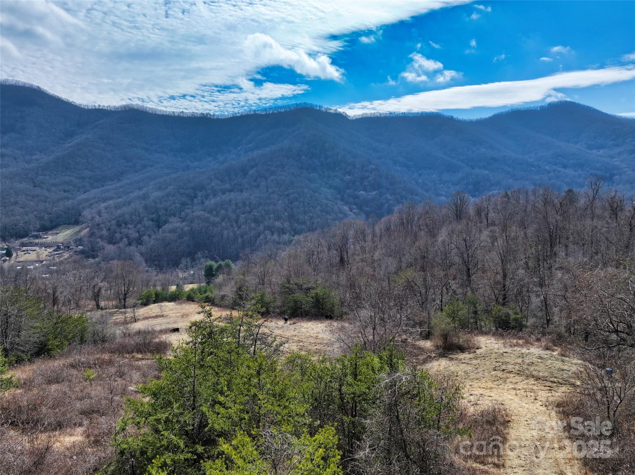 1567 Newfound Road Leicester NC 28748