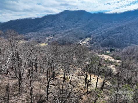 1567 Newfound Road Leicester NC 28748