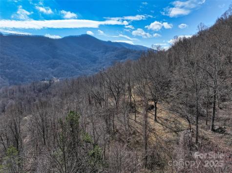 1567 Newfound Road Leicester NC 28748