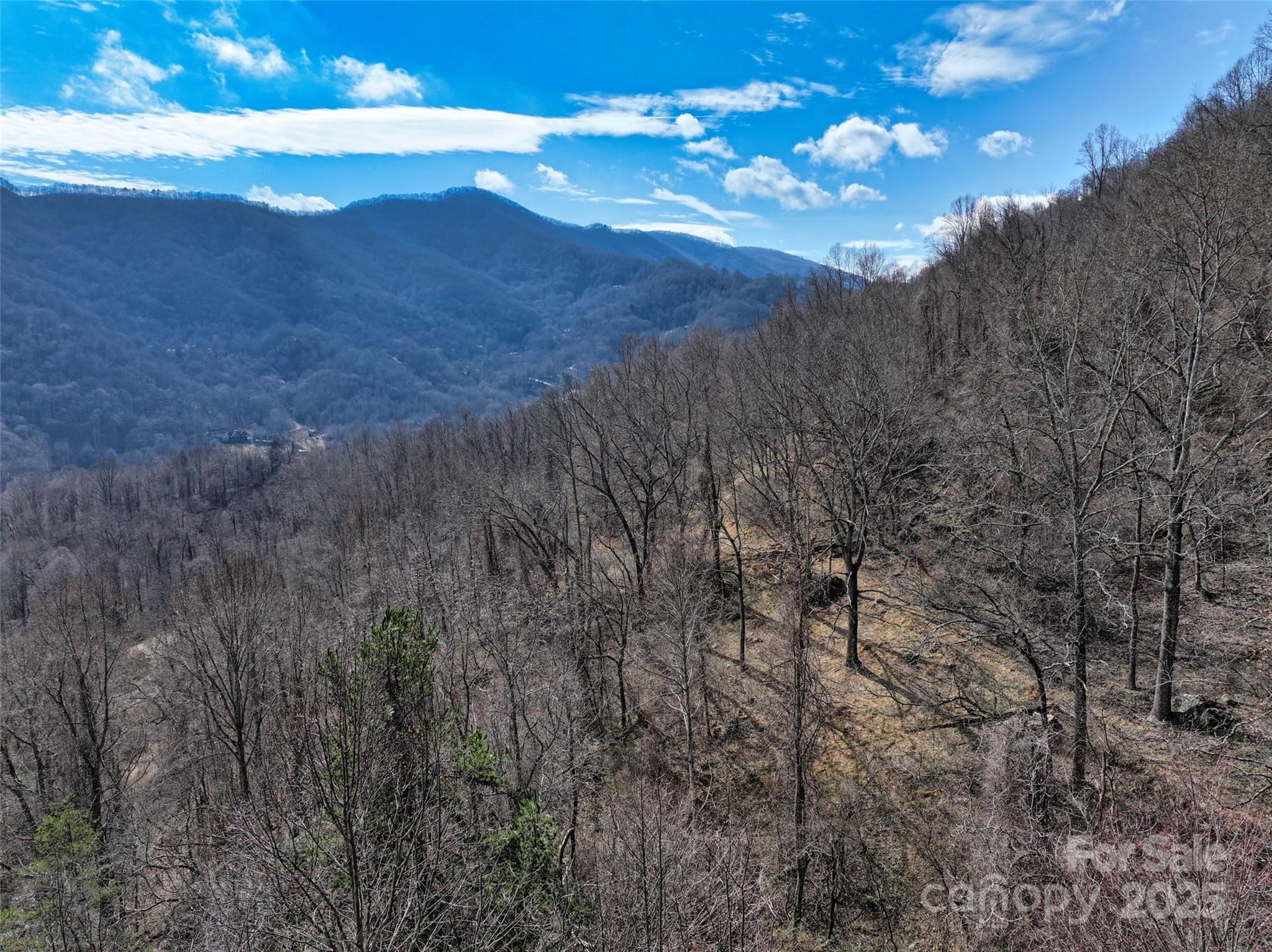1567 Newfound Road Leicester NC 28748