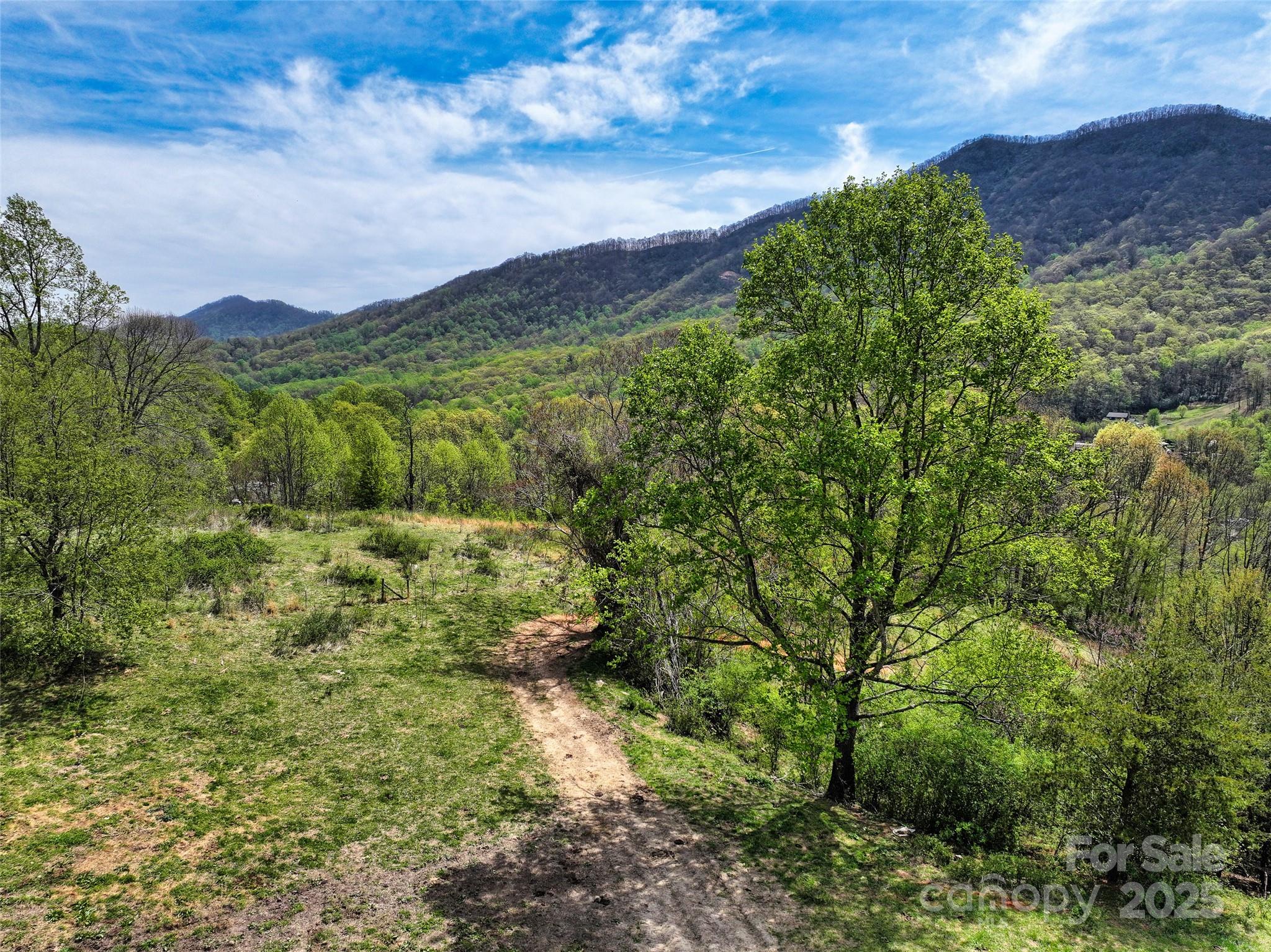 1567 Newfound Road Leicester NC 28748